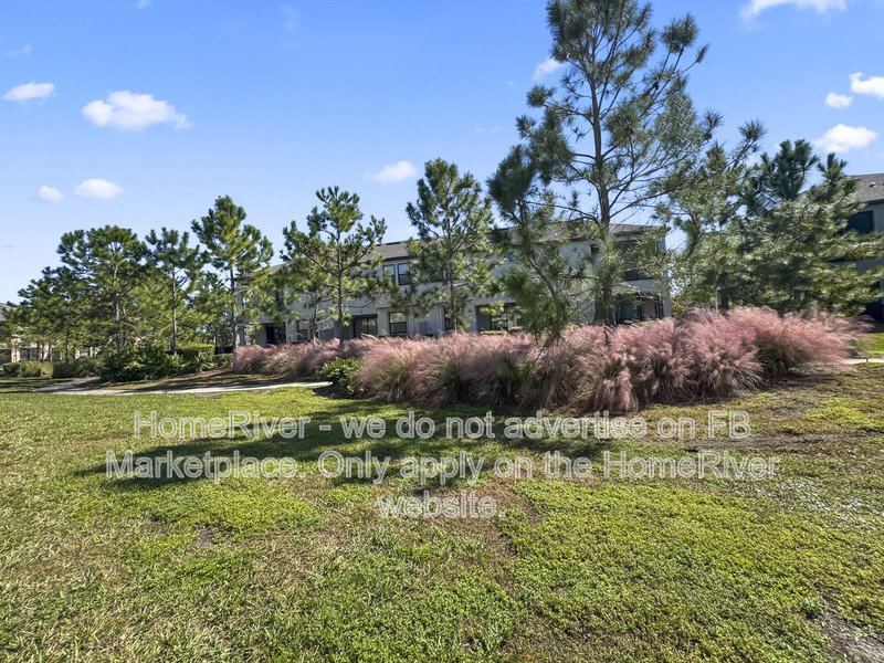 Now Available - 4901 San Martino  Dr, Wesley Chapel property image