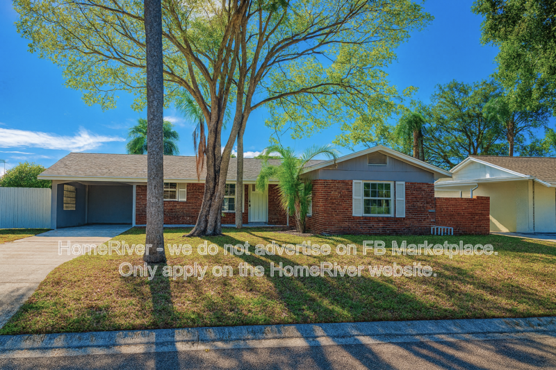 Coming Soon - 4926 Shetland Ave, Tampa property image