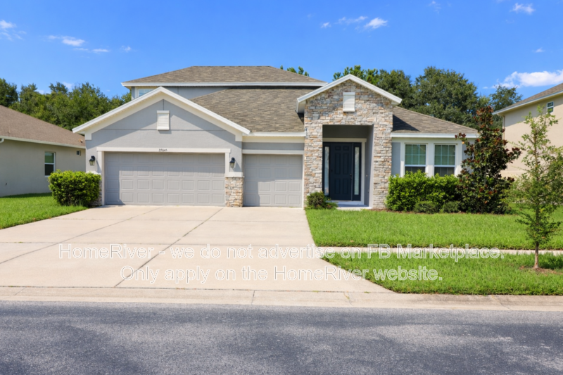 Available Now - 27065 Sora Blvd, Wesley Chapel property image