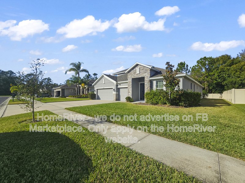Available Now - 27065 Sora Blvd, Wesley Chapel property image