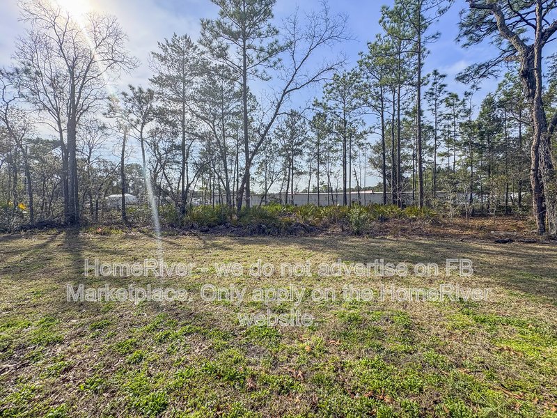 Available Now! Newly built 4 bedroom, 2 bath home property image