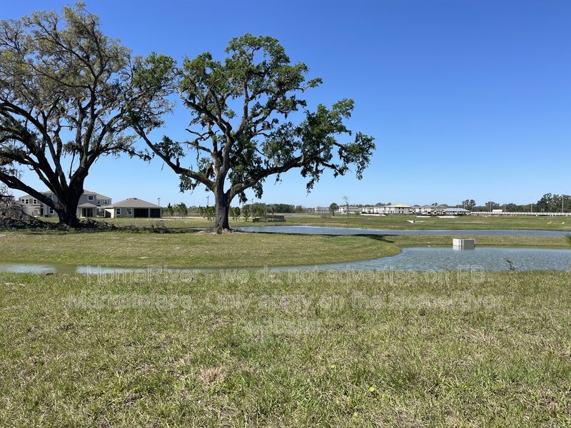 Coming Soon - 32783 OSPREY PEAK WAY, SAN ANTONIO FL 33576 property image