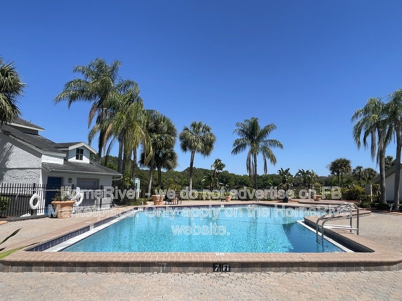 Pool ComMove In Ready! - 8517 Lincoln Cove Dr Apt 101A Tampa, FL 33614 property image