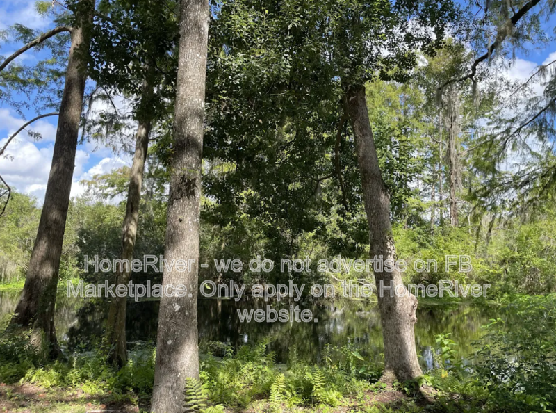 POOL HOME! 3411 W CYPRESS DR, DUNNELLON FL 34433 property image