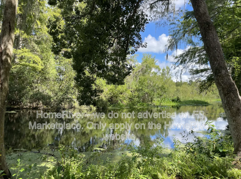 POOL HOME! 3411 W CYPRESS DR, DUNNELLON FL 34433 property image