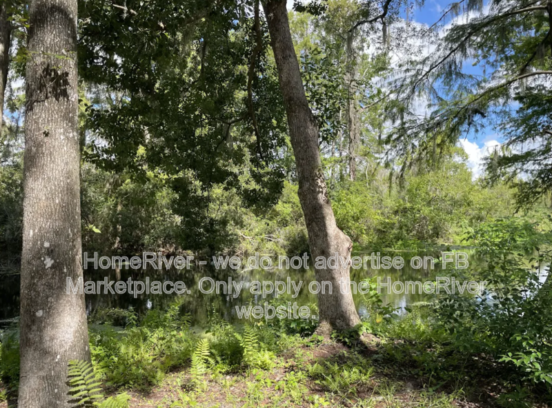 POOL HOME! 3411 W CYPRESS DR, DUNNELLON FL 34433 property image