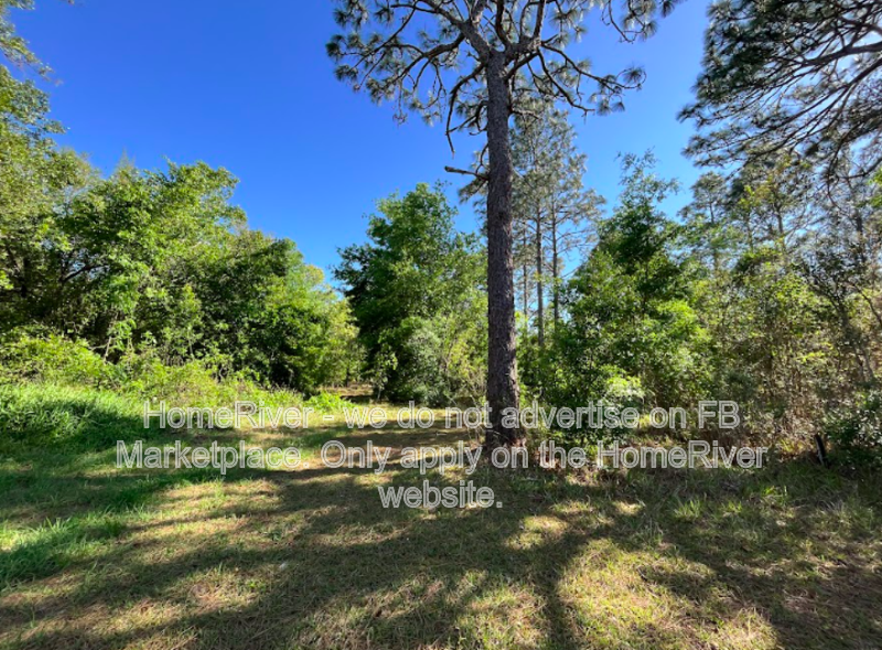3 Bed | 2 Bath | Pet-Friendly | Internet Ready | Spring Hill, FL property image