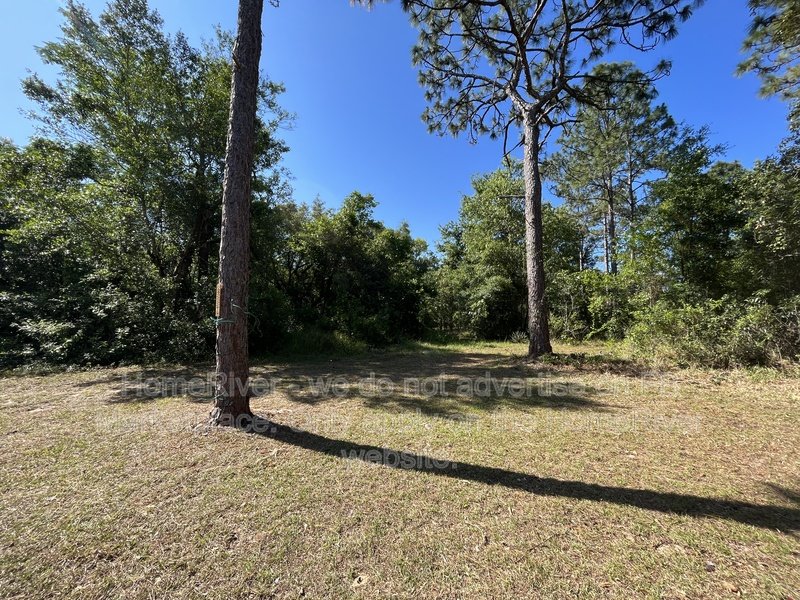 3 Bed | 2 Bath | Pet-Friendly | Internet Ready | Spring Hill, FL property image